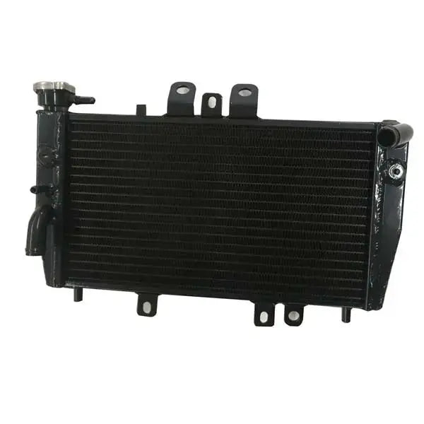 Triumph Speed Triple 955i 2002 2003 Aluminum Radiator BLACK RACMOTO