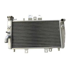 Triumph Speed Triple 955i Aluminum Radiator 2000 2001 2002 2003 2004 RACMOTO
