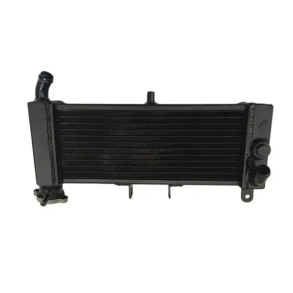 Aprilia RS4 125 RS4125 RSV125 Aluminum Racing Radiator
