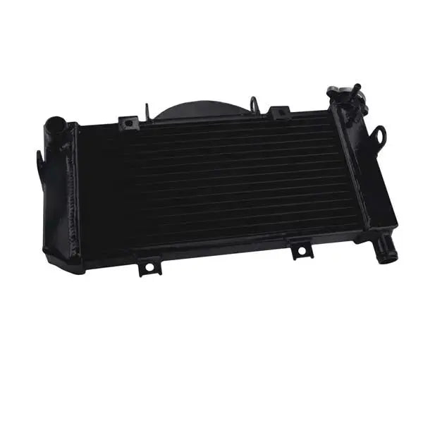 Yamaha TDM900 TDM 900 Aluminum Racing Radiator 2002-2007 RACMOTO