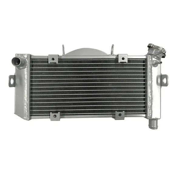 Yamaha TDM900 TDM 900 Aluminum Racing Radiator 2002-2007 RACMOTO